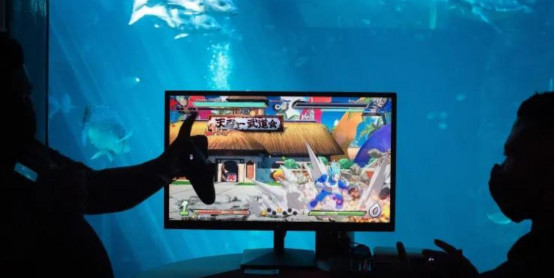 Africas gaming market is expected to top 1 billion in 2024
