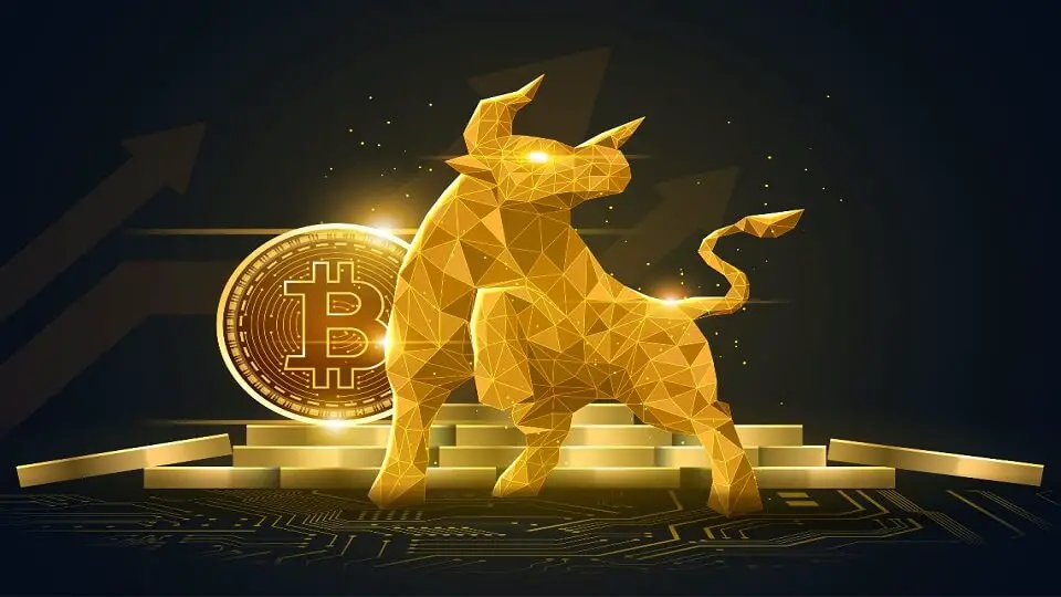 Bitcoin Bull