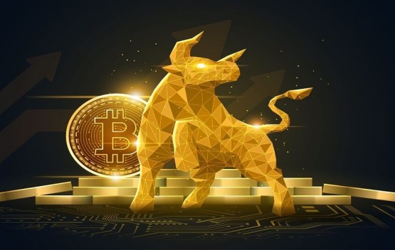 Bitcoin Bull