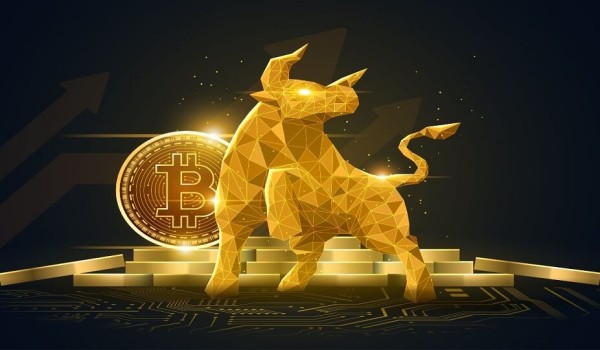 Bitcoin Bull